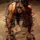 Aiden Starr in 'Shy Slut'