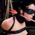 Alexa Von Tess in 'Alexa Von Tesse is hotter and tougher than ever!!'