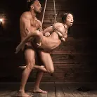 Alexis Tae in 'Alexis Tae Surrenders'