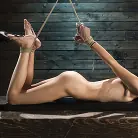 Allie Addison in 'Fresh Meat: Allie Addsion Endures Strict Bondage and Torment'