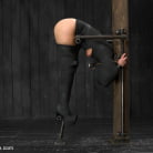 Ash Hollywood in 'Falling Into Ashes - Ash Hollywood'