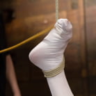 Audrey Hollander in 'Audrey Hollander - Bitch Still Has It'