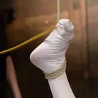 Audrey Hollander in 'Audrey Hollander - Bitch Still Has It'