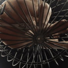 Betty Solace in 'Yes Queen Betty: Betty Solace Doms Baxxx'