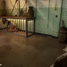 Bobbi Starr in 'Busty Brunette in for a Sure Shock Fuck'