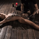 Brooklyn Gray in 'School of Submission, Day Four: Brooklyn Gray'