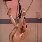 Calico in 'Undriscriminating Slut'