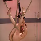 Calico in 'Undriscriminating Slut'