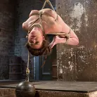 Casey Calvert in 'Tough as Nails'