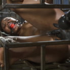 Chanell Heart in 'Black Whore Moan'