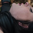 Charlotte Sins in 'Bound in the Sun'