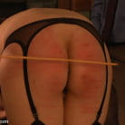 Cherry Torn in 'Black Friday Brunch: Shevon Petitions the House'