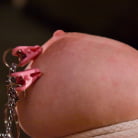 Claire Adams in 'Bella Rossi's huge natural tits get tied and wired!!!'