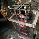 Claire Adams in 'Claire Adams Does Charlotte Brooks!'