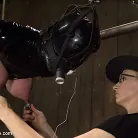 Darling in 'The Return of Darling'