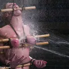 Darling in 'What a Darling!'