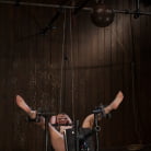 Dylan Ryan in 'How much do you love zippers'