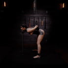 Eli Cross in 'Punishment for the Mouthy Brat: Vanessa Vega'