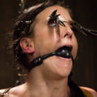 Elise Graves in 'Annihilation of Elise Graves'