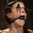 Elise Graves in 'Annihilation of Elise Graves'