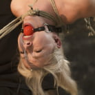 Ella Nova in '2 Helpless Blonde Whores in Brutal Bondage!'