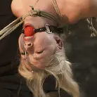 Ella Nova in '2 Helpless Blonde Whores in Brutal Bondage!'