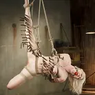 Ella Nova in 'Young Blond in Extreme Bondage'