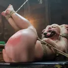 Elyssa Greene in 'Twisted Tale of a Captive Creamer'