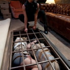 Felony in 'Brunettes Have More Fun: Sweet Revenge'