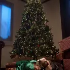 Felony in 'Holiday Punishment'