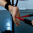 Gia DiMarco in 'Audrey Hollander- anal queen and Electroslut extraordinair in her final explosive challenge'