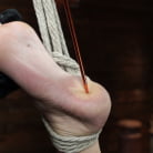 Gia DiMarco in 'Gia DiMarco is Back! Grueling Bondage And Mind-Blowing Orgasms'