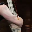 Gia DiMarco in 'Gia DiMarco is Back! Grueling Bondage And Mind-Blowing Orgasms'