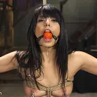 Gina Valentina in 'Gina Valentina Earns Her Collar'