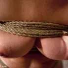 Hollie Stevens in 'The Training of Hollie Stevens Day One'