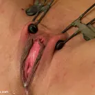 Holly Heart in 'Blonde Hard Bodied Bombshell'