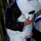 Ashli Orion in 'PANDAMONIUM!!! PANDA LULLABY!!! PANDA PORNO!!!!!'