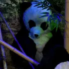 Ashli Orion in 'PANDAMONIUM!!! PANDA LULLABY!!! PANDA PORNO!!!!!'