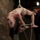 Jessi Palmer in 'Girl next door Jessi Palmer in a back breaking suspension, skull fucked, made 2 cum over and over'