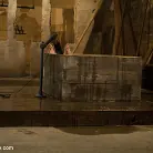 Jessie Cox in 'Dirty, Dirty Whore'