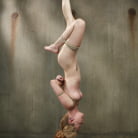 Jeze Belle in 'Petite Blonde Gets Destroyed in Extreme Bondage'