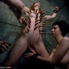 Calico in 'Calico and Cherry Torn's Live Feed'