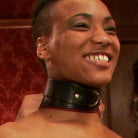 Juliette March in 'Porn Star Anal Orgy'