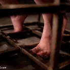 Katharine Cane in 'Training Katherine Kane Day 2'