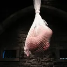 Keeani Lei in 'Delilah Strong and Keeani Lei Livefeed Part 2'