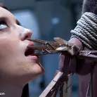 Kimberly Kane in 'A Cuckold Comedy'