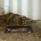 LieLani in 'Lovely Lielani Submits to the Armory!'