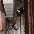 Lilla Katt in 'The Training of Lilla Katt, Day Four'