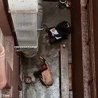 Lilla Katt in 'The Training of Lilla Katt, Day Four'