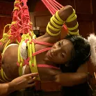 Lily LaBeau in 'House Celebration: Fire Play and Farewell Pope p. 2'